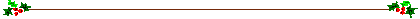 Avdelare i form av ett brunt streck med en  järnekskvist i vardera änden